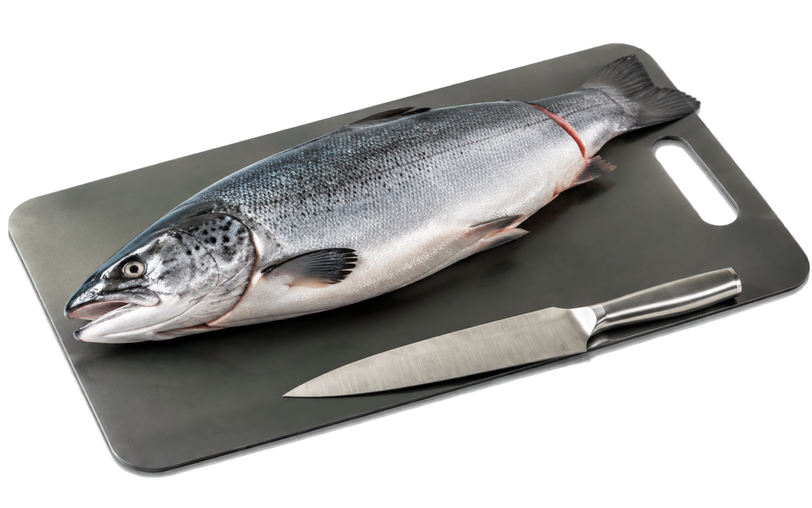 Whole salmon and chef's knife displayed on a Katori-style titanium cutting board
